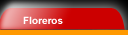 Ir al catalogo de floreros