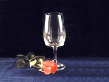 Copa Degustacion